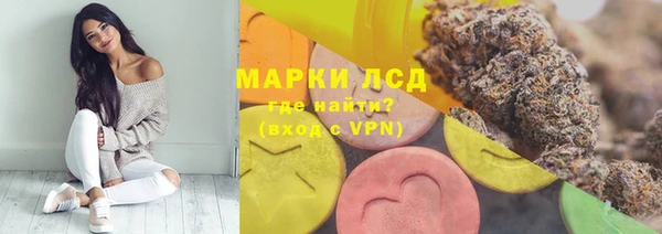 прущая мука Новодвинск