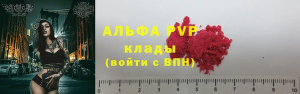 твердый Новозыбков