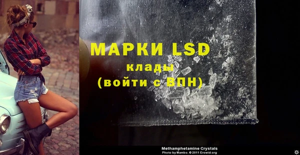 твердый Новозыбков