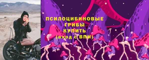 твердый Новозыбков