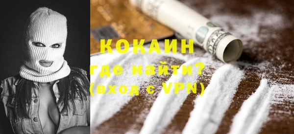 твердый Новозыбков