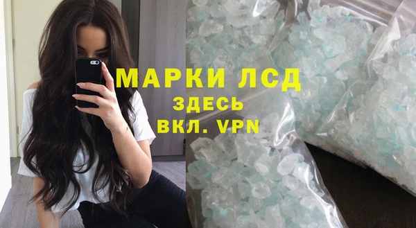 твердый Новозыбков