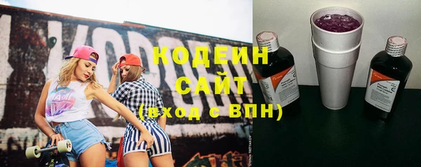 твердый Новозыбков